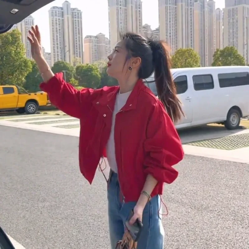 Korte top met opstaande kraag, lente herfst, losse, veelzijdige vrijetijdsjas