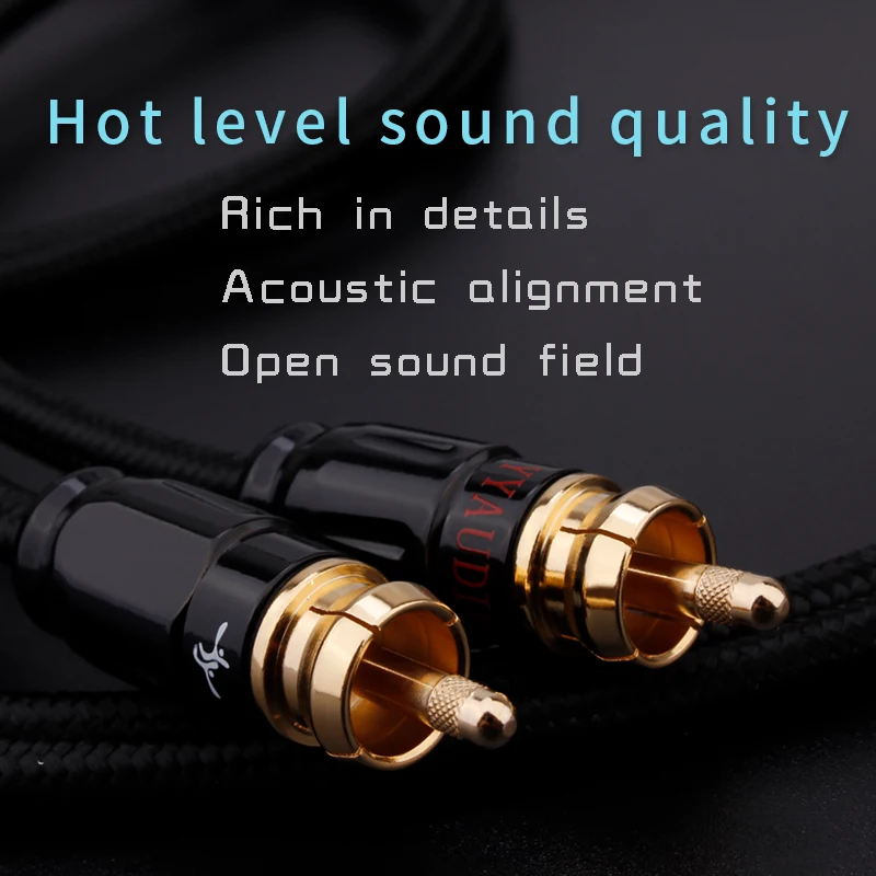 Посеребренный Hi-Fi RCA кабель YYTCG G2S, Hi-end, подпись 6N OFC 2RCA, соединительный кабель с позолоченным RCA