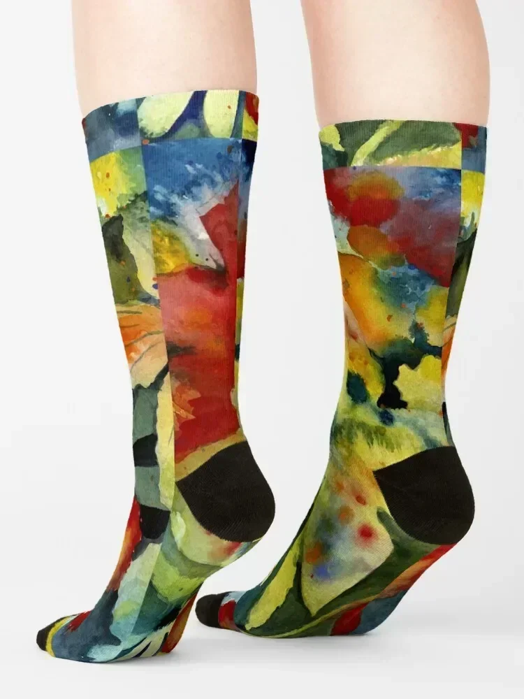 Adrianne Lenker Songs Socks Soccer kids funny gift compression Socks Man Women's