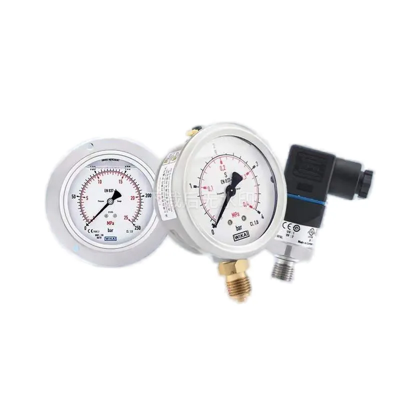 

2026 For WIKA EN831-1 Double Digital Back Barometer 213.53.063 Brass Pressure Gauge 100mm Liquid Application Size For Back Barom