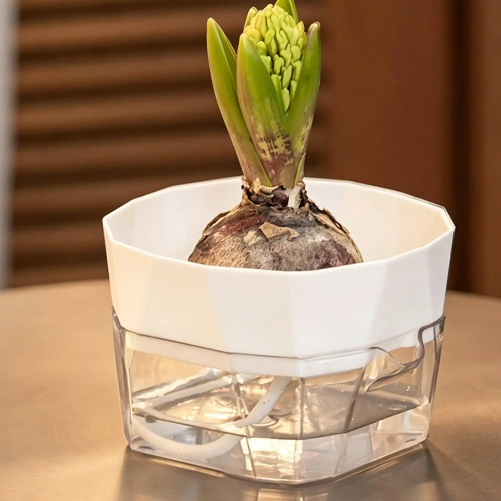 Hydroponic Vase Two Layer Self Watering Planter Clear PET Plant Pot Indoor Garden Supply for Decorative Use view 5