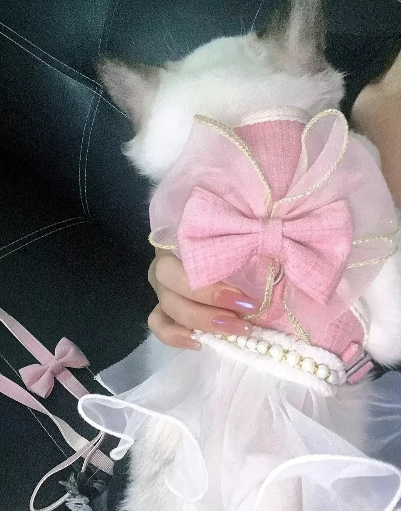 Cat Leash Bowknot Chest Strap Princess Cat Harness Adjustable Lace Skirt Walking Lead Sphynx Cat Devon Rex Dress