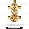 R2200 Integrated Shower and Steering Valve, Compatible with D3 Set or 6 Set Integrated Steering Valve Trim Kit