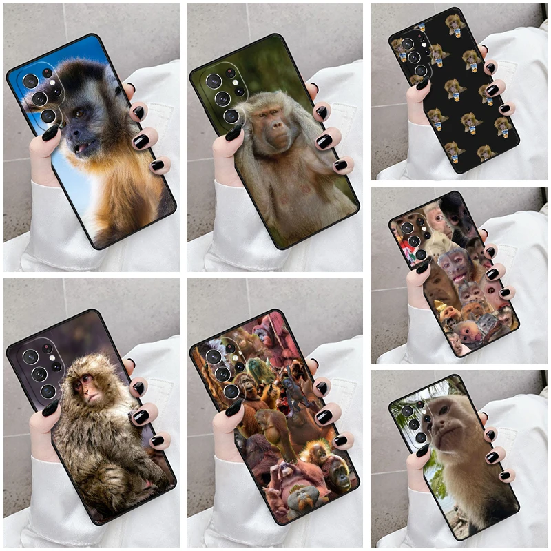 Phone Case For Samsung Galaxy S24 S23 S21fe S22 Ultra Plus Note 10 20 S8 S9 S10 Cover Monkey Sipping Meme