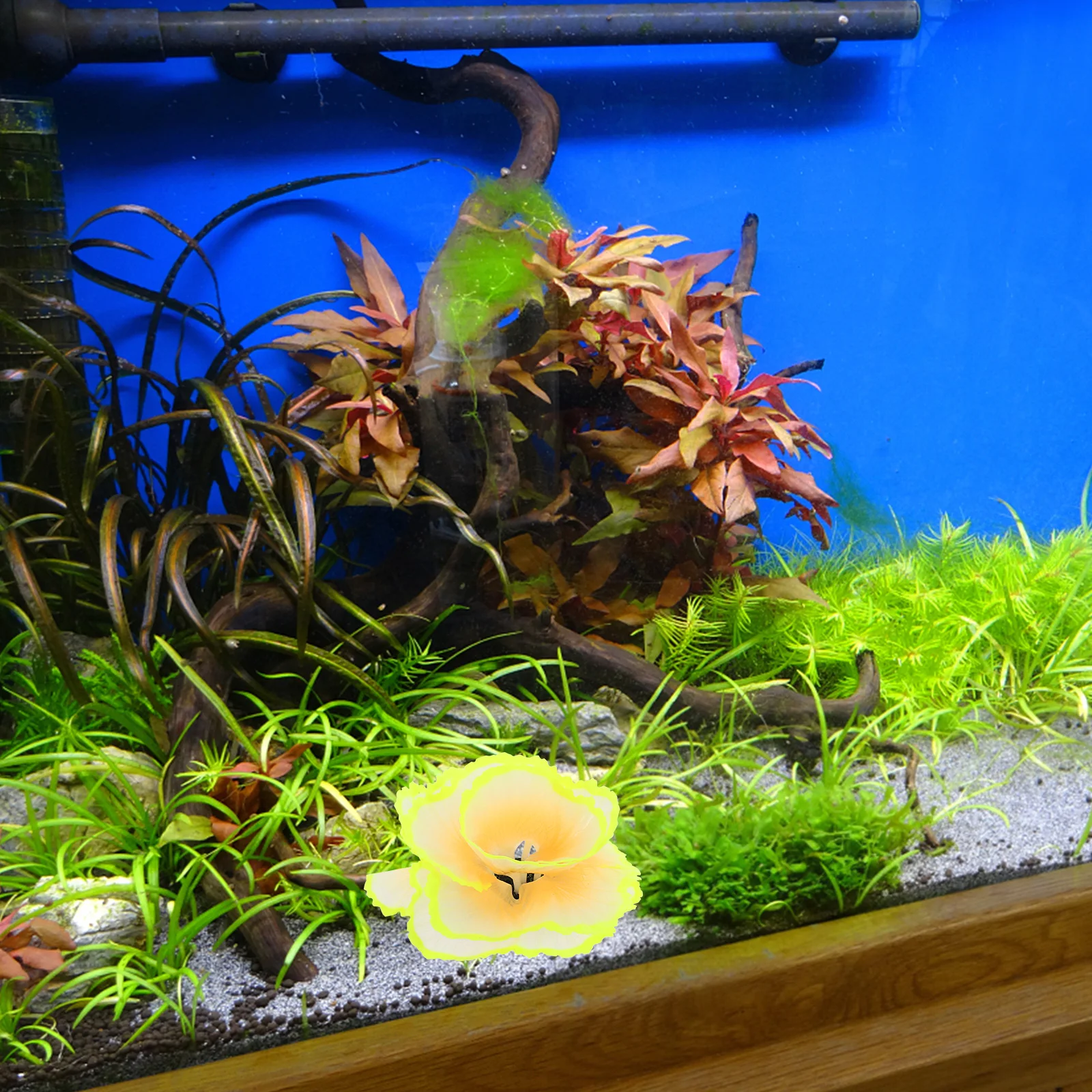 

Simulation Coral Decoration Silicone Aquarium Ornament Lively Style Fresh Salt Water Environment Birthday Anniversary Gift