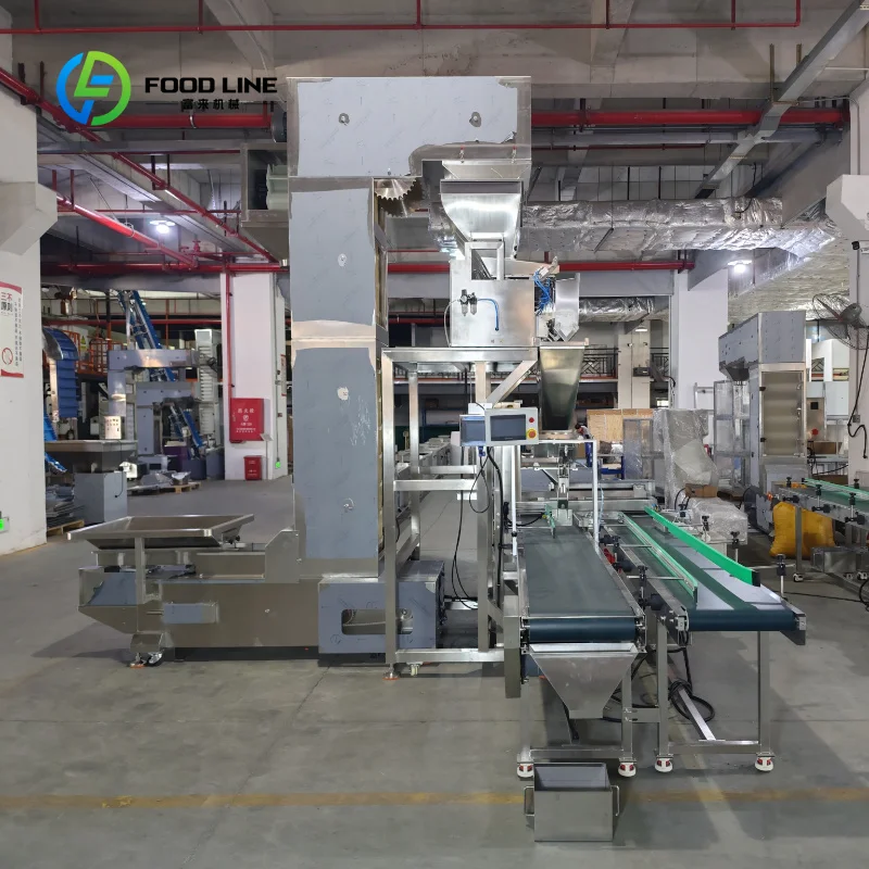 Customized Automatic Electric Mealworm Jar Can Bucket Weighing and Filling Packaging  Machine for Food Factory Sealing Machine