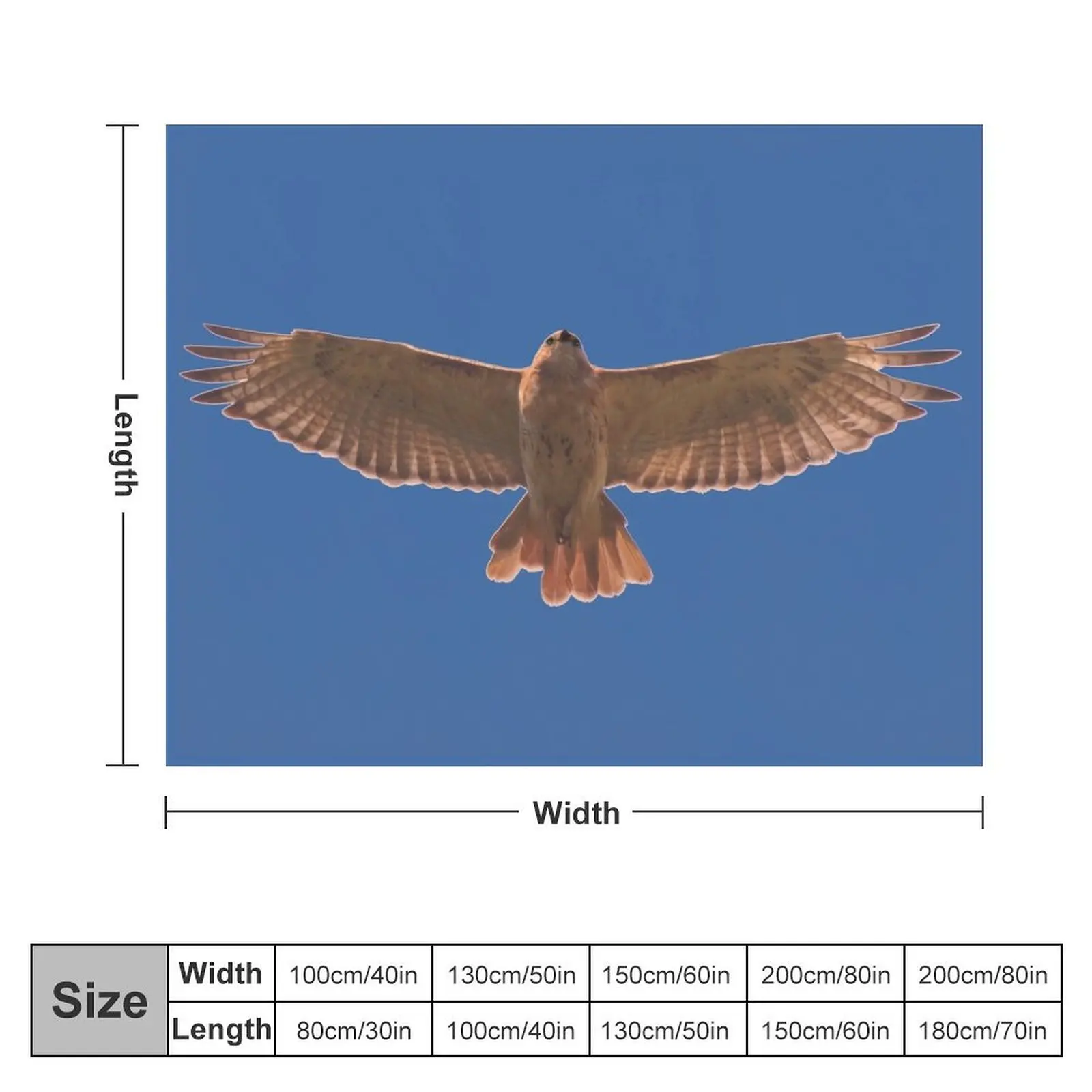 Red Tailed Hawk Throw Blanket Tourist Cute Custom blankets ands Blankets