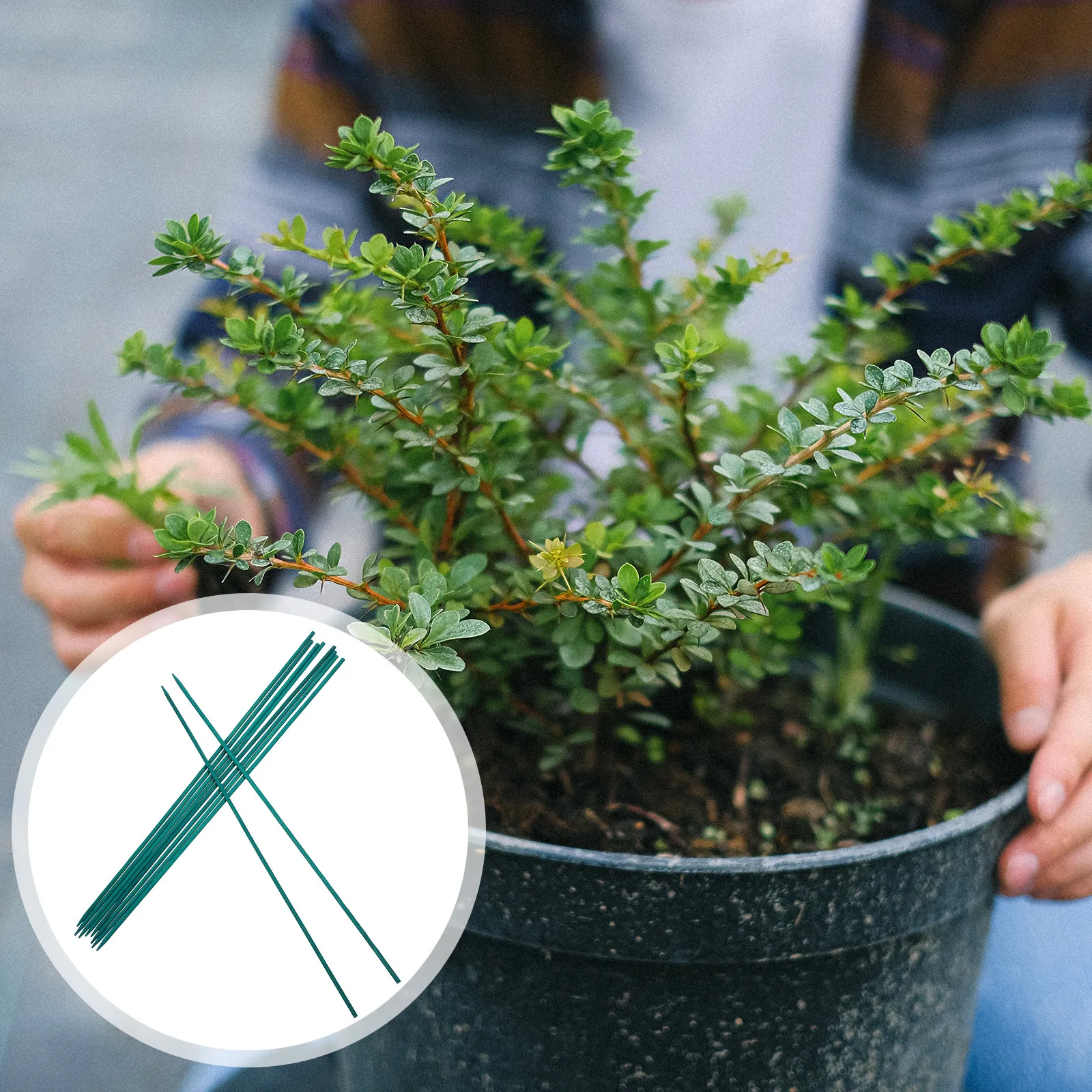 

50Pcs Green Plant Sticks Flower Arrangement Poles Multi Purpose Fixed Plant Supports for Garden Climbing Plants Tomato Stakes
