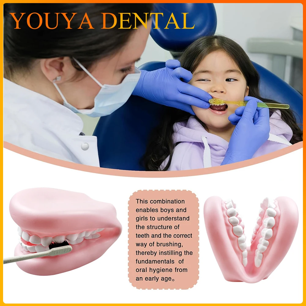 

1pcs Plastic Dental Simulation Game Set Hygiene Habit Cultivation Teaching Aid Intellectual Brushing Toy Educational Learning