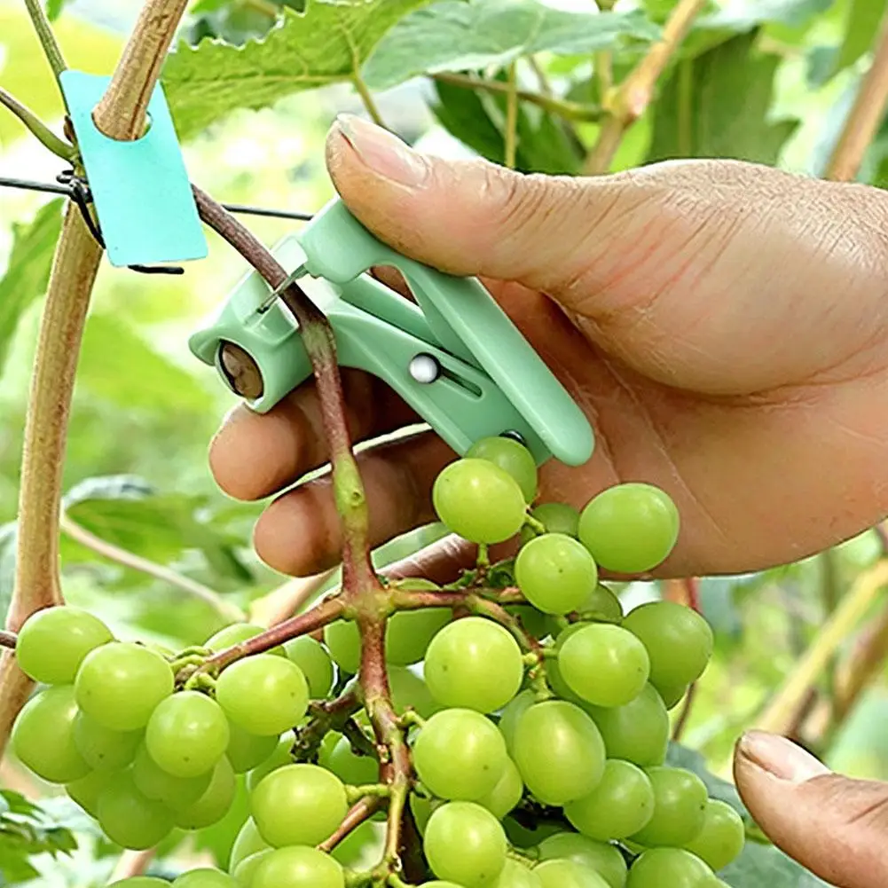 Thumb Cutter Gardening Tools Pruning Shears Garden Picking Plant Vegetables Separator Finger Tool Multifunction Picking Tool ﻿