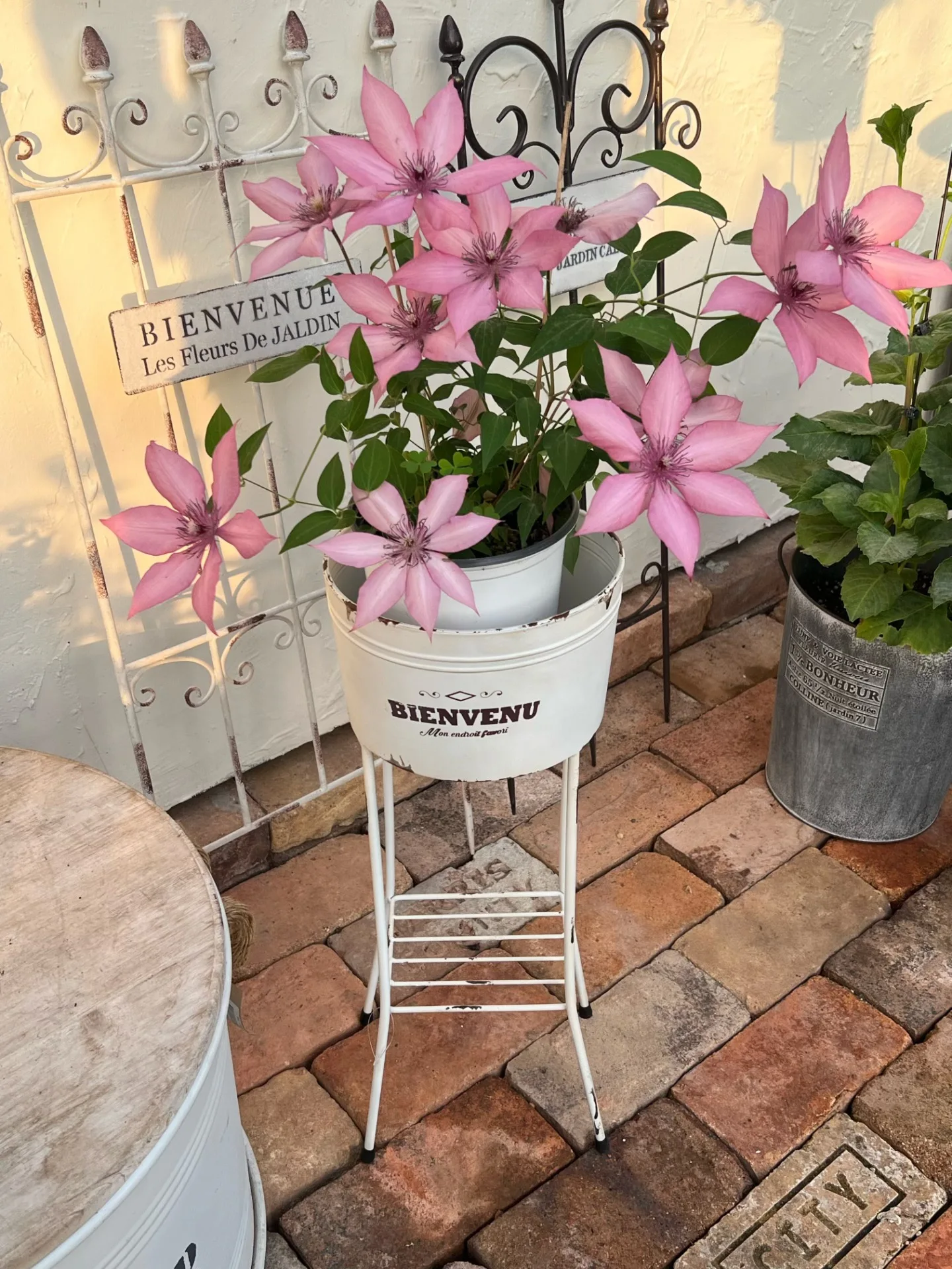 Vintage Metal Planter Stand Ru - Planter Raised Metal ulasan dan harga