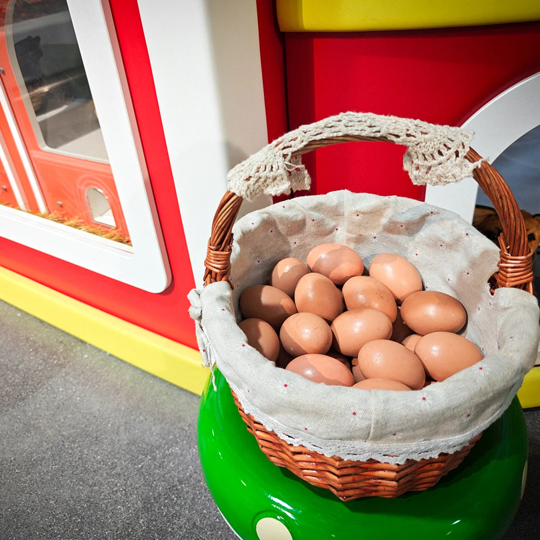 Indoor Playground Equipment Soft Plastic Hen Egg Laying Game Center Kindergarten Role Game Set