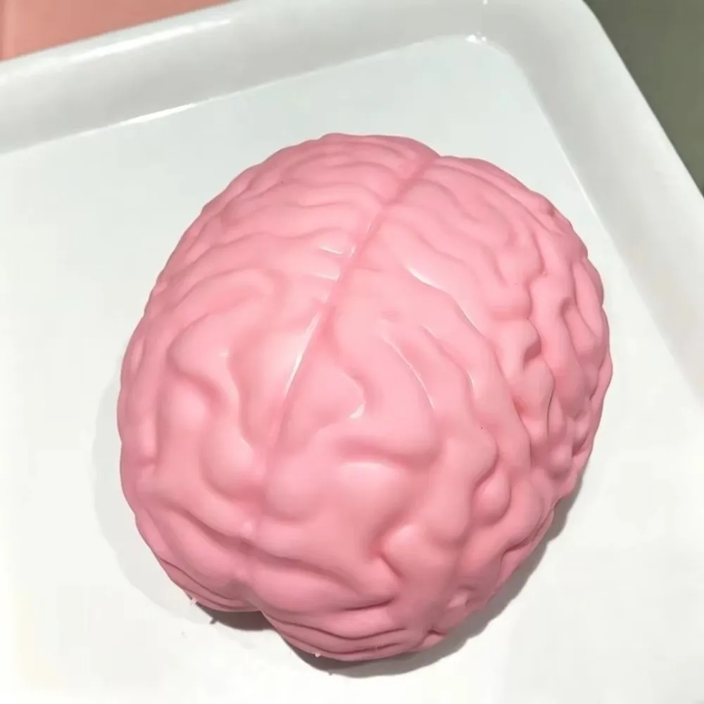 Unique Simulated Brain Squishy Moldable Slow Rising Prank TPR Squeeze for Adults