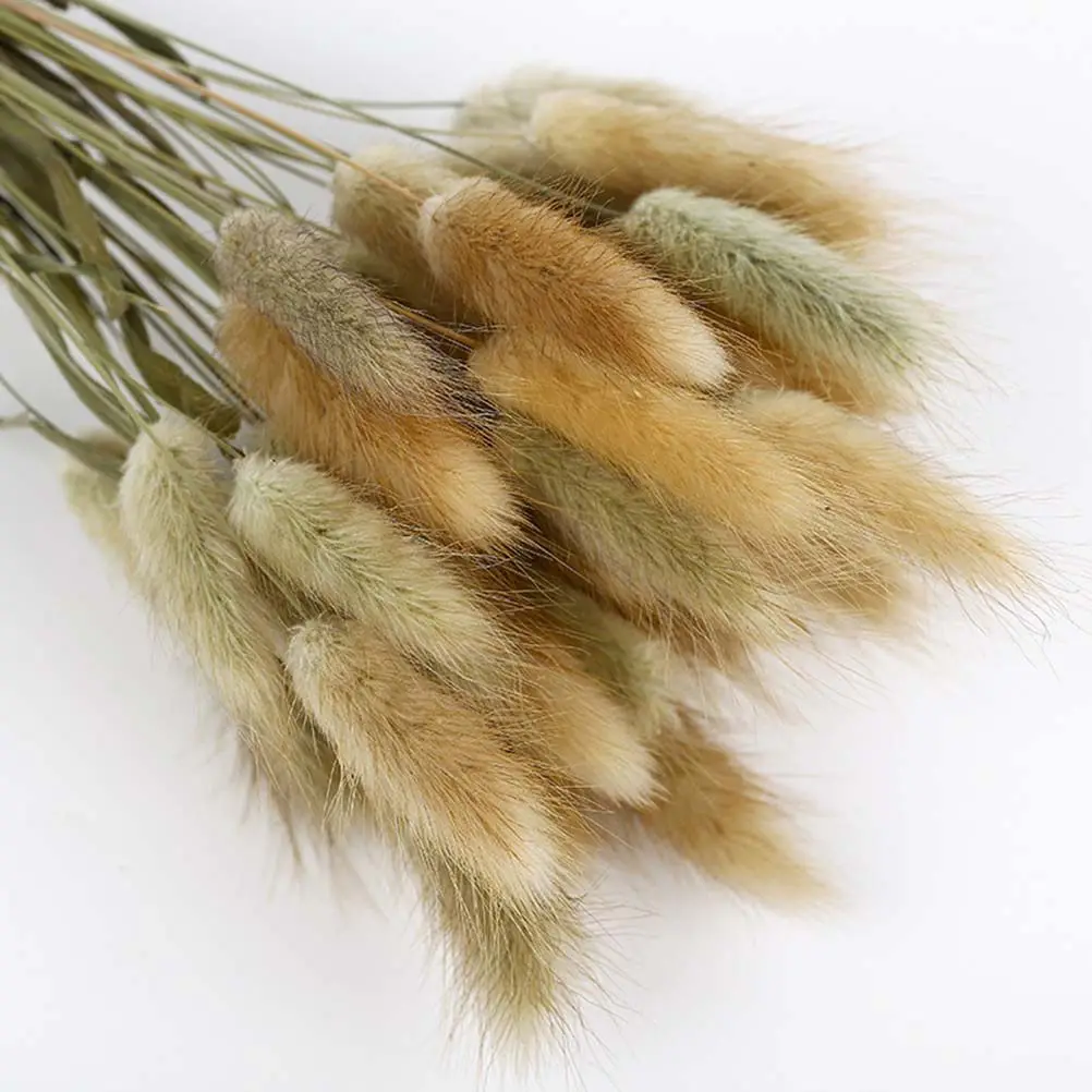 50Pcs Natural Rabbit Tail Dried Flower Bouquets with Stems Realistic Pastoral Home Decor for Wedding Bouquet Office Living Room