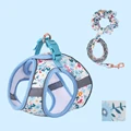 Blue set