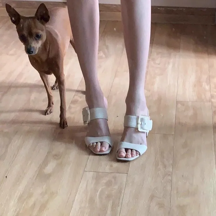 

Fashionable and Stunning Thick Heel High Heel Slide Sandals for Women, Summer Square Buckle Open Toe High Heel Slides