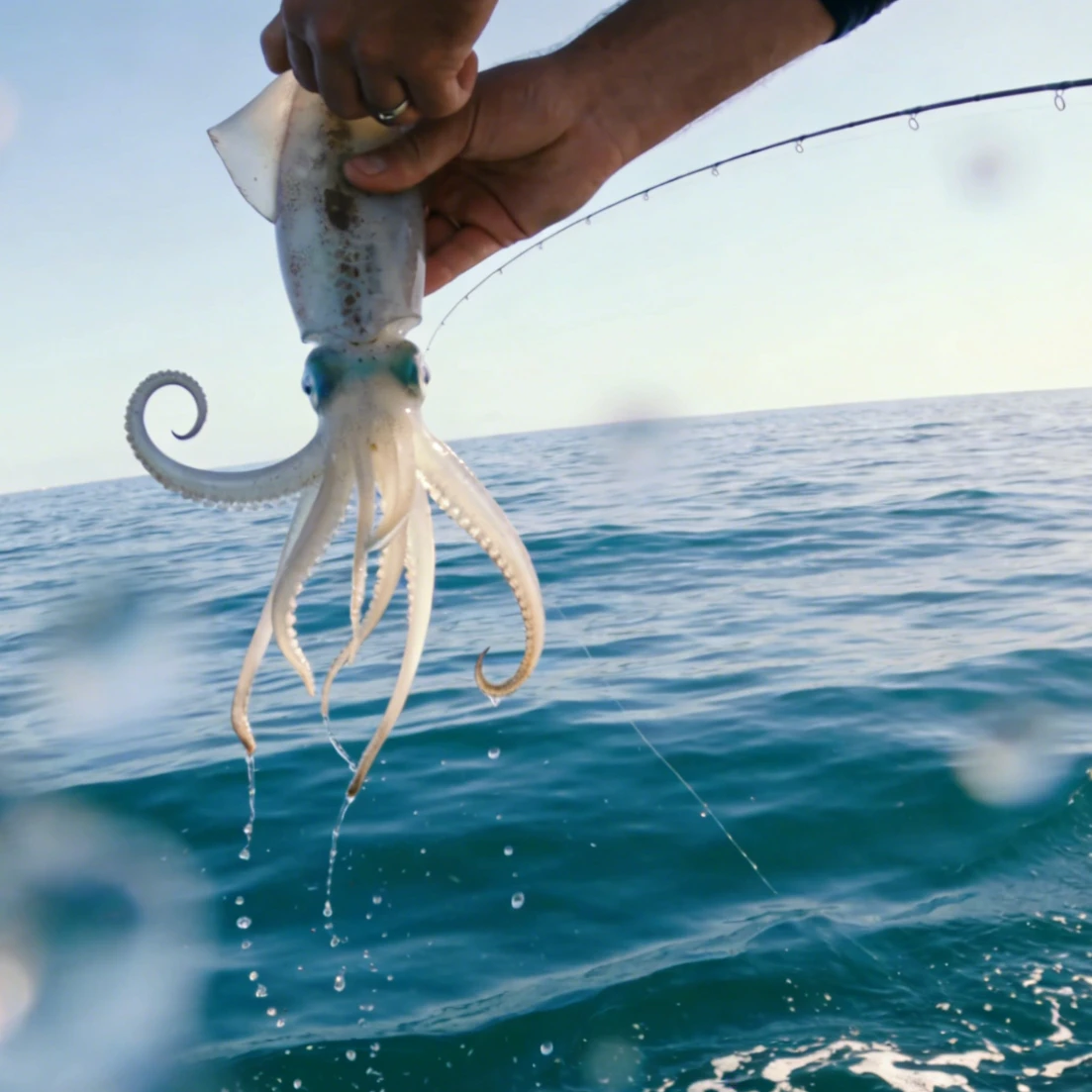 Thumbnail 2 - #32 Latest Fishing Gear Offers