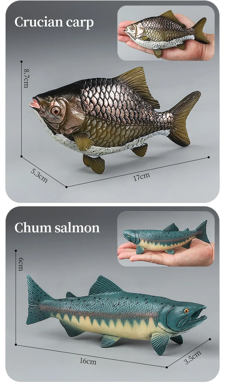 Meeresleben-Tiere-Modell, Actionfiguren-Set – Ozeanfisch, Thunfisch, Segelfisch, Bass, Zacker, Lachs, PVC, Lernspielzeug für Kinder – Detail 6