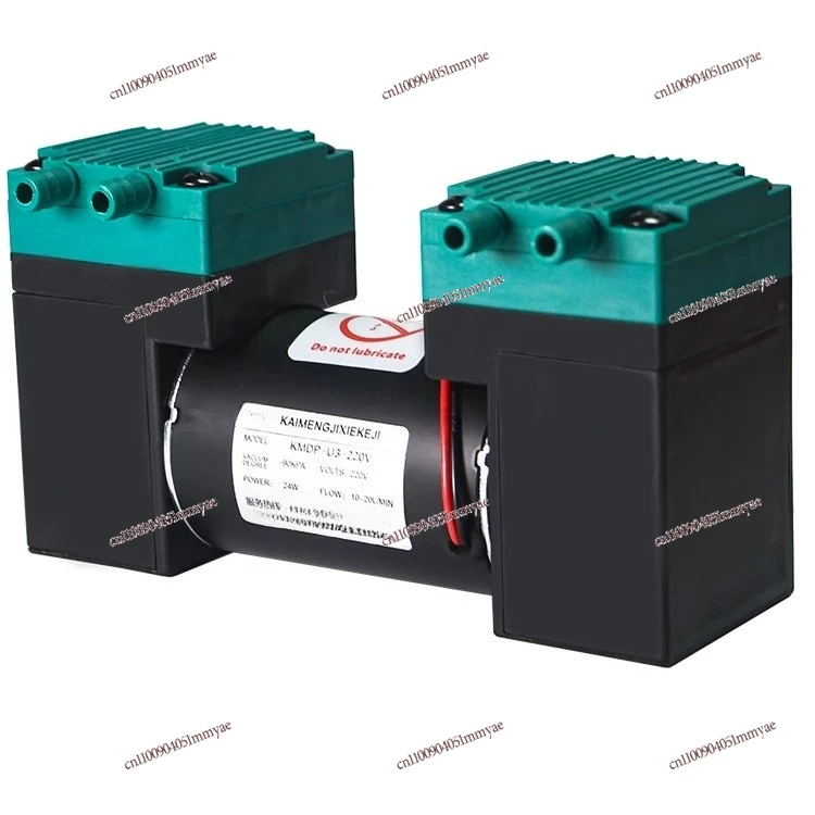 

Dual-purpose Double-head Small 24V DC Vacuum Pump, Micro Diaphragm Pump, Pumping Mini Air Pump 220v High Pressure
