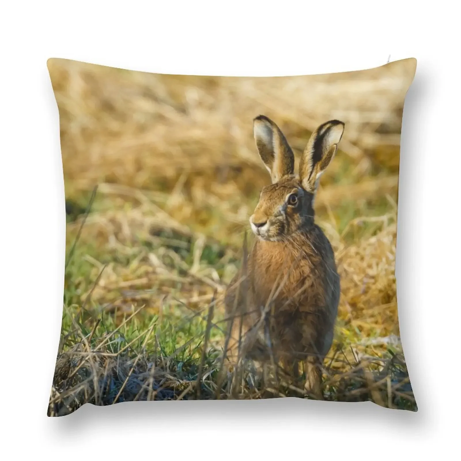 

Love is in the Hare Throw Pillow Decorative Cushions For Living Room sleeping pillows Bed pillowcases pillow