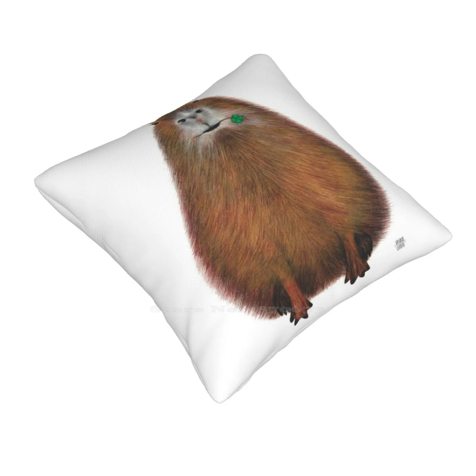 Capybara High Quality , Hand Made Illustration Bedroom Office Hug Pillowcase Capybara Animal Color Childish