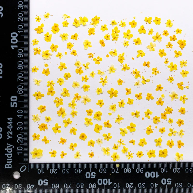 24 Stück, gepresste blaue Trockenblumen aus Spitze für DIY-Harzschmuck, Lesezeichen, Grußkarten, Scrapbooking, Aromatherapie, Kerzen, Bastelzubehör – Detail 17