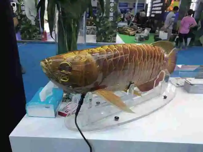 robosea Bionic fish robot BIKI / ROBOLAB-GL Wireless Underwater Fish Dive Shooting Intelligent Robot 4K Photo Photography