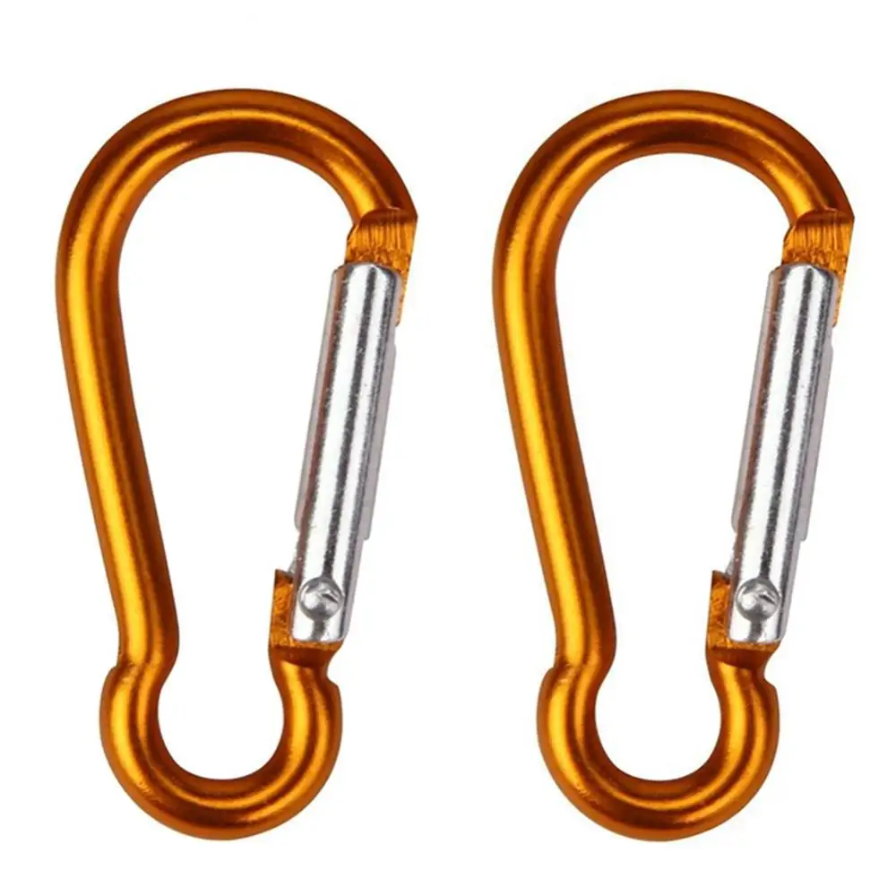 2Pcs Mini Carabiner Keychain Alluminum Alloy D-ring Buckle Spring Carabiner Snap Hook Clip Keychains Camping Carabiner Hooks