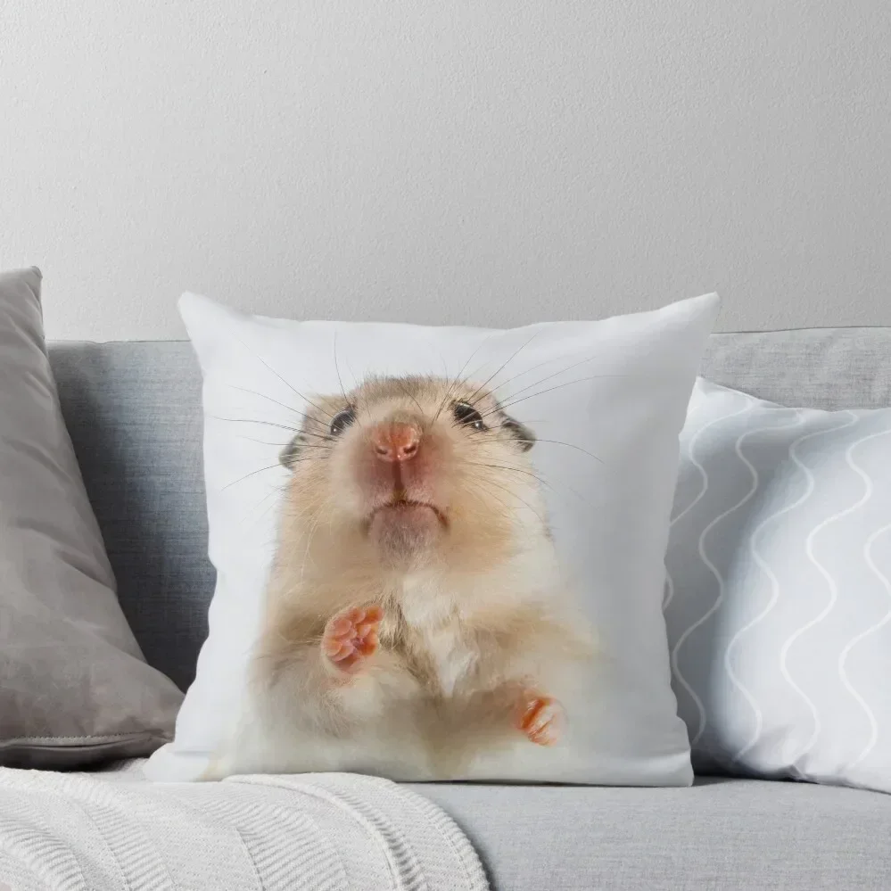 Syrian Hamster Pillow Throw Pillow autumn decoration Pillowcases For Pillows pillow cover luxury