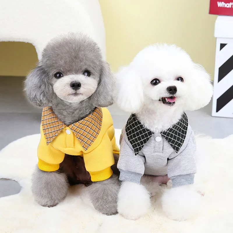 Lapel Bear Pet Sweatshirt Fall and Winter Dog Pullover Cozy Warm Puppy Two Legs Clothes Cute Yorkshire Clothing