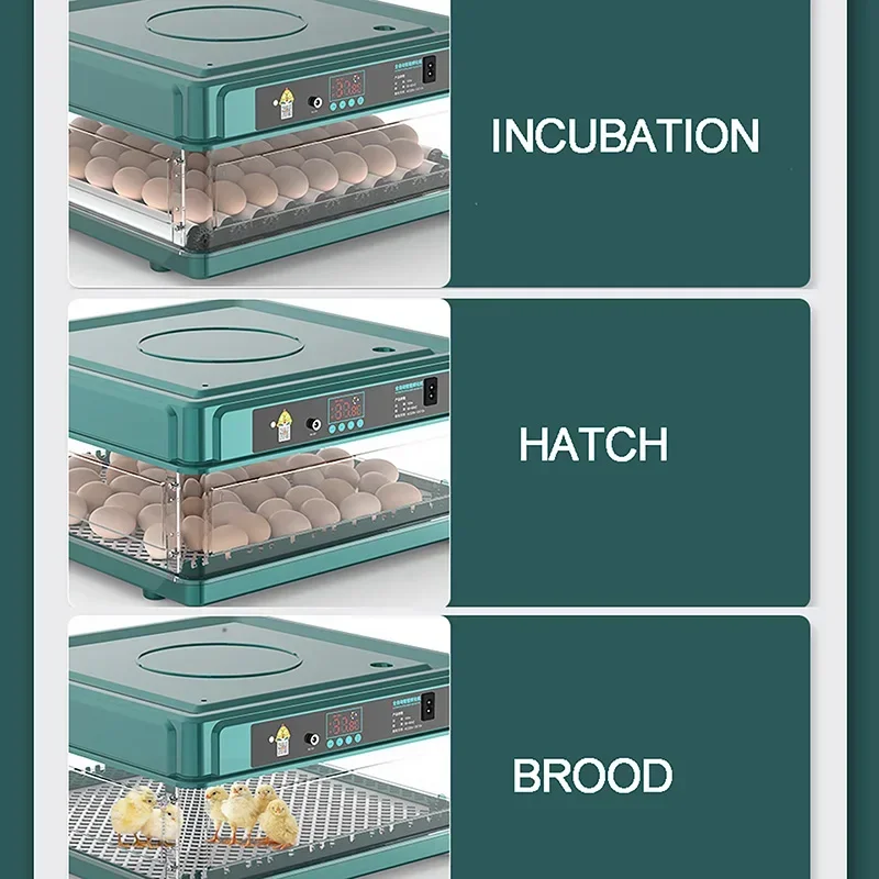 Fully Automatic Intelligent Double Power Incubator Mini Household Chicken, Duck, Goose, Pigeon, Peacock And Parrot Egg Incubator