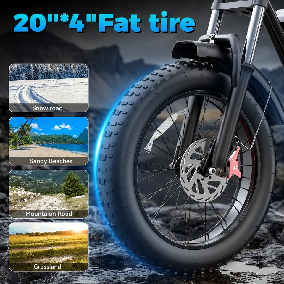 RIDSTAR 2000W Q50 Off-road Electric Bike for Adults E-Bike 48V 20AH 20" Fat Tire Electric Dirt Bike Bicycle for Mountains Road Snow image 7