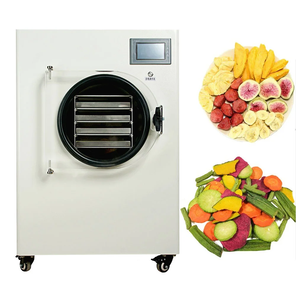 Household Vacuum Freeze Dryer 4-6KG for Vegetables Fruit Mini Lyophilizer Pet Food Freeze Drying Food Dehydrator