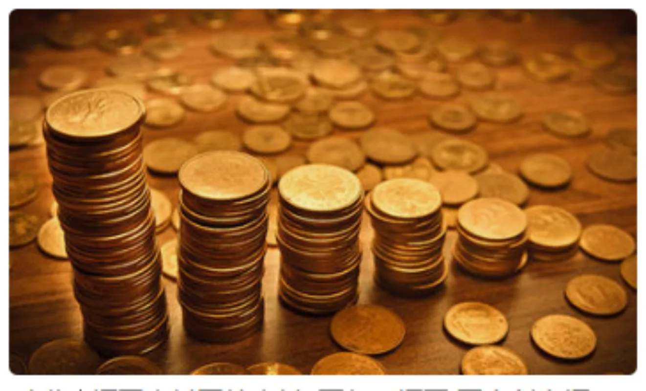 VIP 10 دولار أمريكي تعويض فرق السعر متخصص