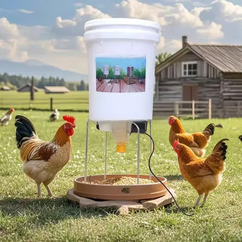 Chicken Duck Goose Turtle Pigeon Remote Timing Automatic Feeder Smart Poultry Food Dispenser Tank for Farm Pet Bird
