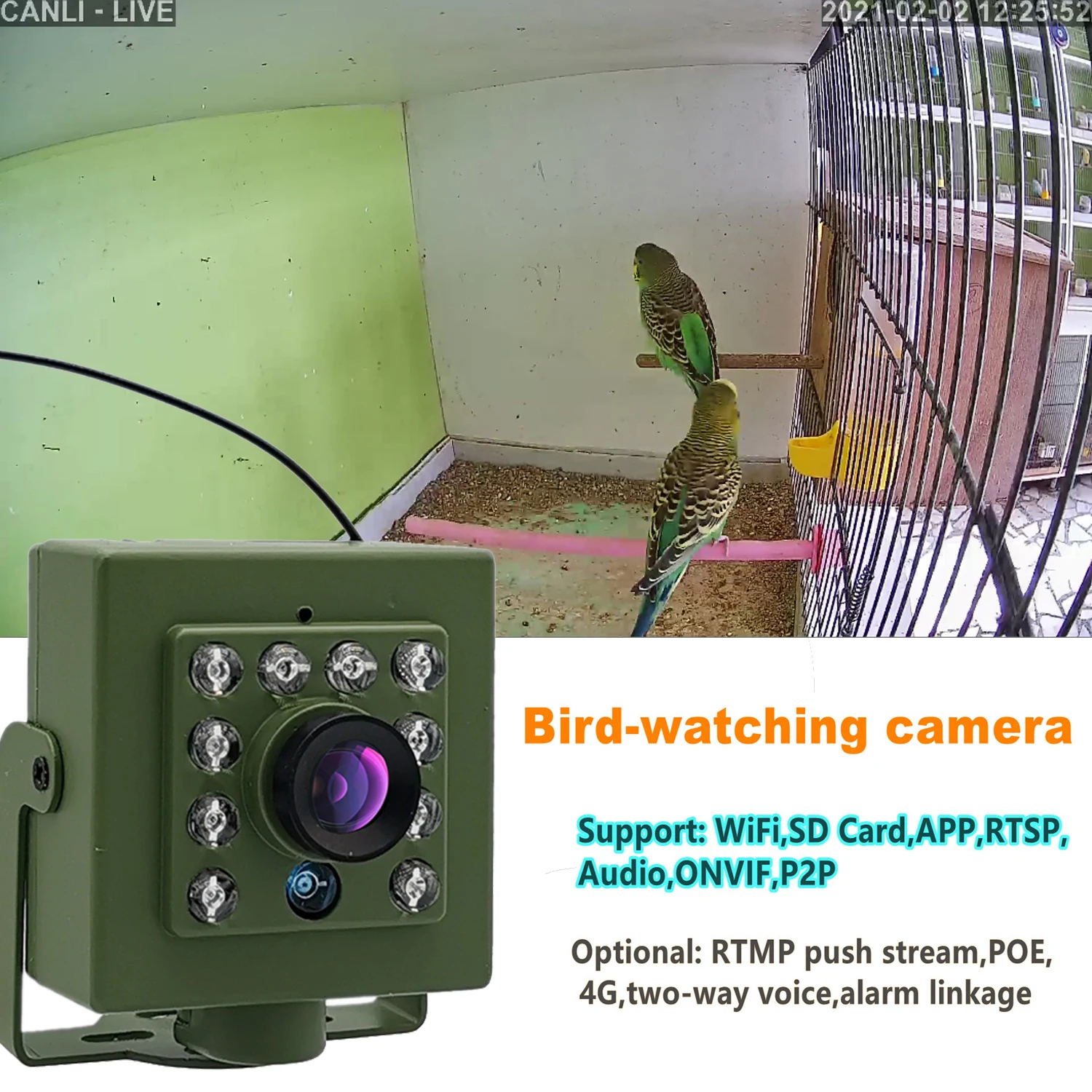 Groene Wifi Bird Box Camera Kit Rtmp Audio 1920P 1080P Nachtzicht Rtmp Rtsp Ftp Mini Ip Camera huisdier Nest Vogels Kijken Ipc Camhi