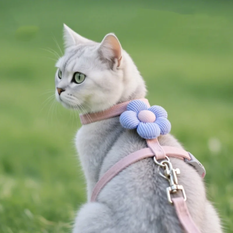 

Cat leash, pet outdoor leash, specialized vest style chest strap, outdoor cat walking leash Guide rope