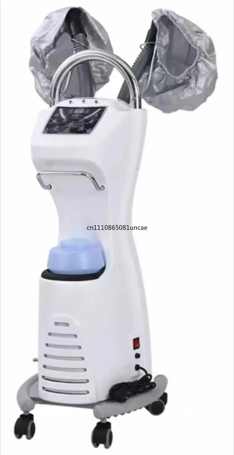 New Multifunctional Ozone Hair Steamer Salon Hair Treatment Spa Equipment