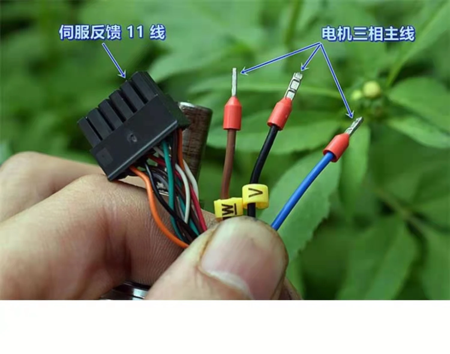 All-metal gear planetary DC deceleration DC36V three-phase brushless motor with servo feedback high torque