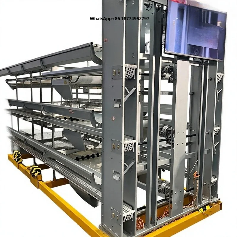 Fully Automatic Intelligent Stepped Egg-Collecting Machine Poultry Farming Vertical Design Laying