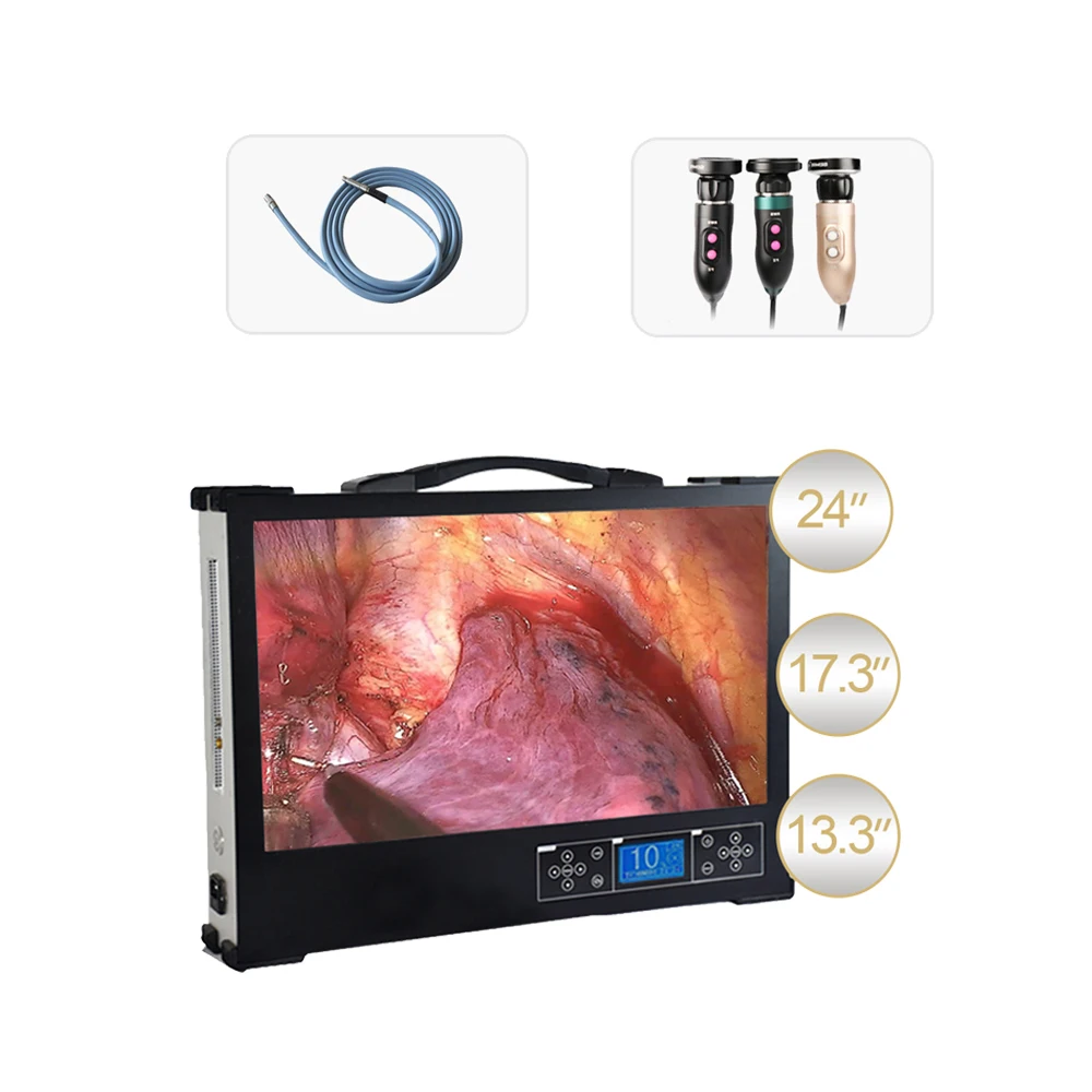 Портативная интегрированная медицинская эндоскопическая камера Dudumed 2026 для ветеринарного использования (отоларингология/урология)