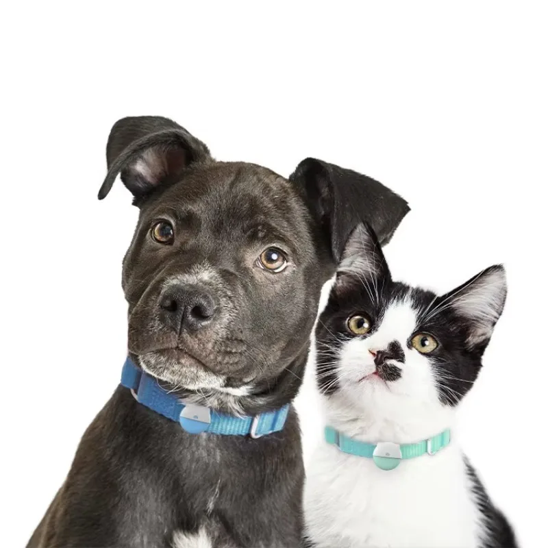 

LIVE Tracking 4G CAT-M Small Cats Necklace GPS