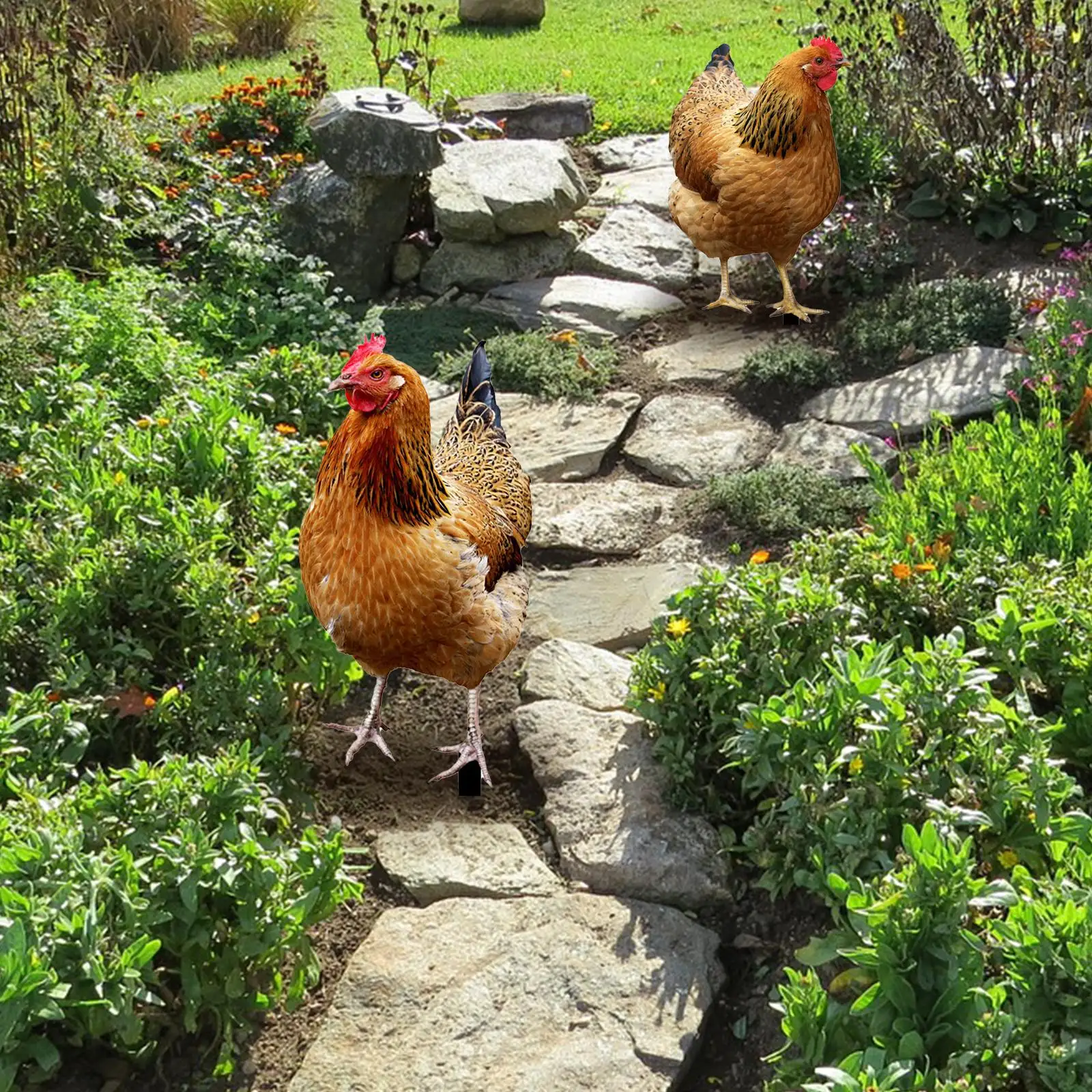 

2 Pieces Chicken Decorative Garden Stakes Hen Yard Signs for Pathway Outside