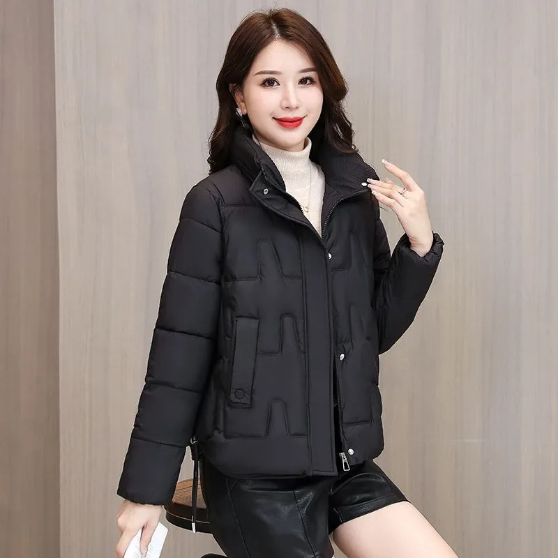 2024 New Autumn Winter Jacket Women Parkas Hooded Thick Down Cotton Padded Female Jacket Short Winter Coat Women Outwear