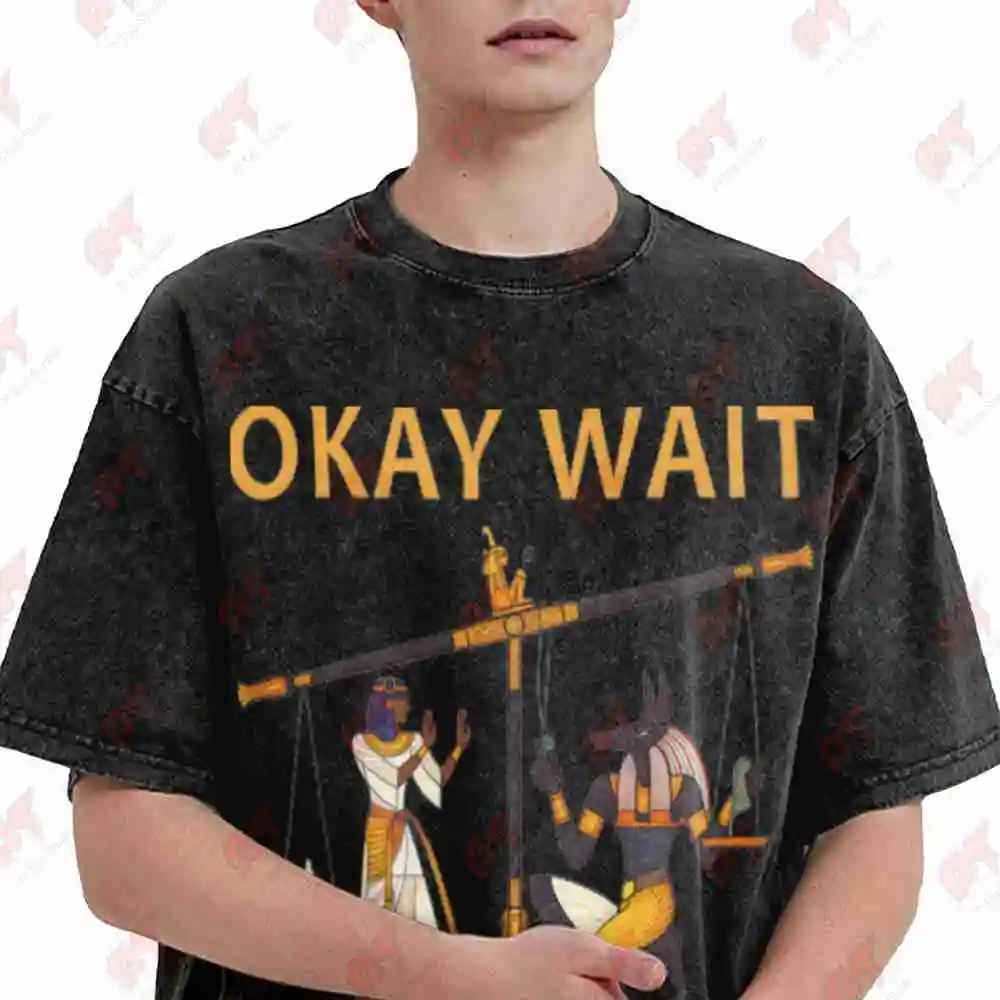 Okay Wait I Can Explain Vintage Washed Tee Pure Cotton T-Shirt