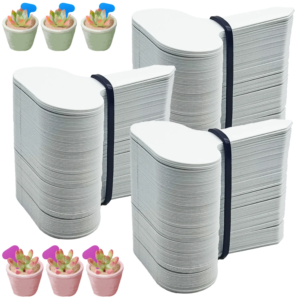 50 Étiquettes de Jardin pour Plantes 50*70MM – Marqueurs Colorés pour Classification et Tri, Panneaux d'Identification pour Bonsaï, Cartes d'Écriture en Plastique