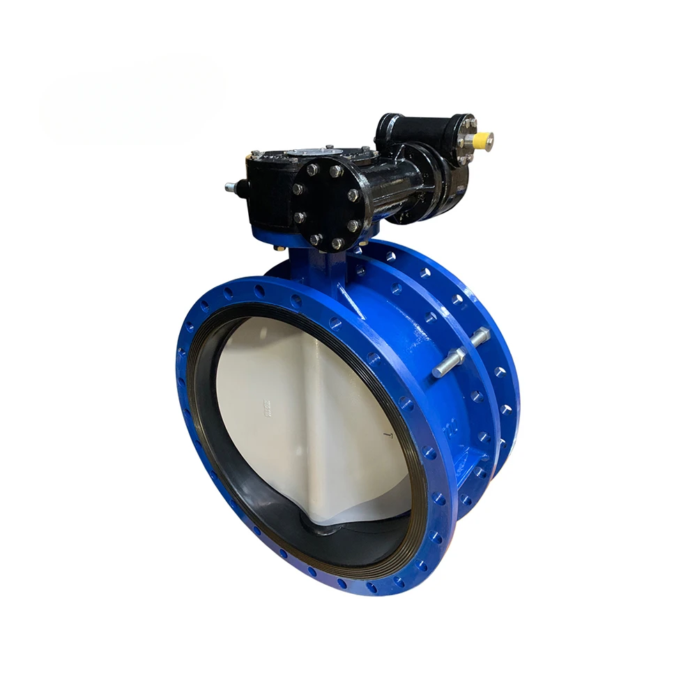 Expansion joint flange butterfly valve Nylon coated Ball milled cast Soft seal   DN700