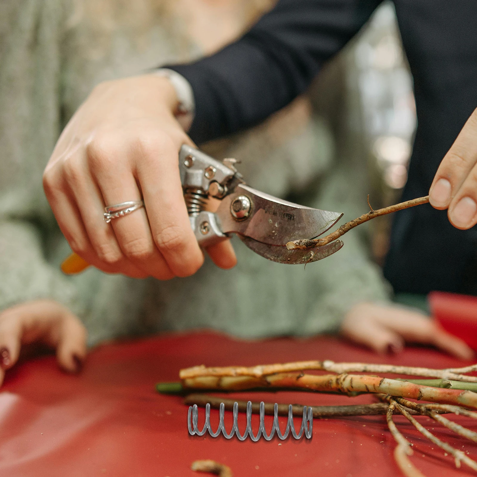 

10Pcs Garden Pruner Springs Heavy-Duty Steel Replaceable Compression Springs Pruning Shears Accessories for Fruit Tree Trimming