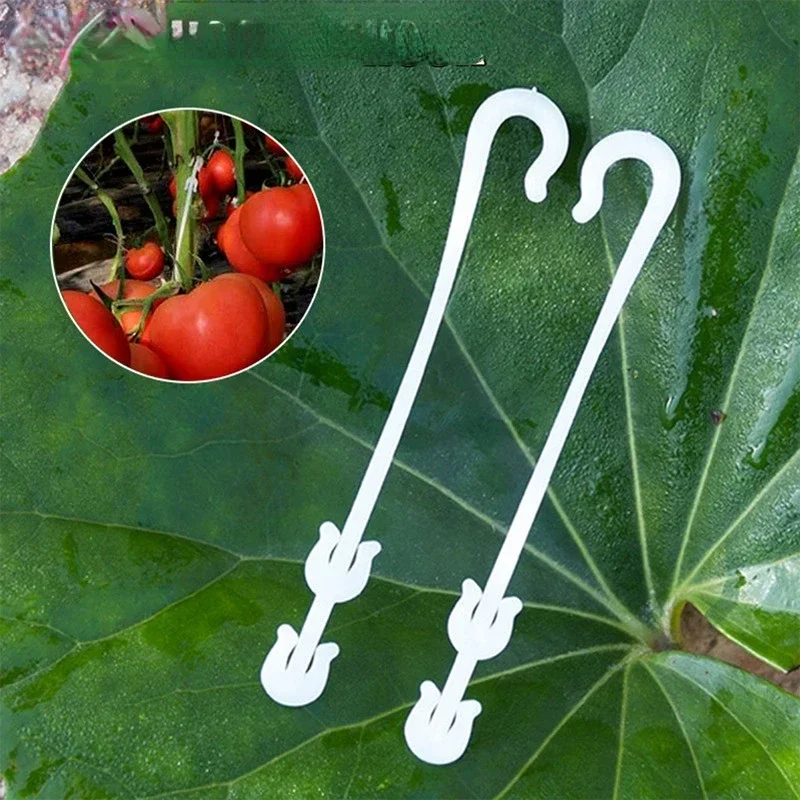 20Pcs Plastic Fruit Support Hooks, Tomatoes Vegetable J-Hook Tomato Truss Hooks for Supporting Plants and Vegetables Accessories