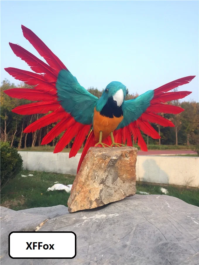 

real life parrot model foam&feather wings parrot bird garden decoration gift about 30x50cm d0257